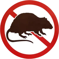 Rat Prevention